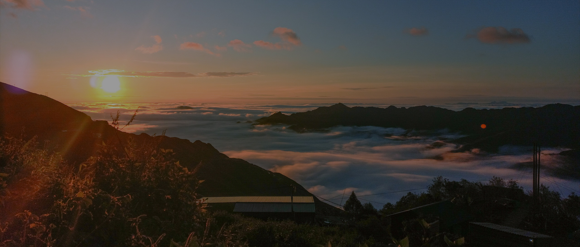 Video trang chủ taxua