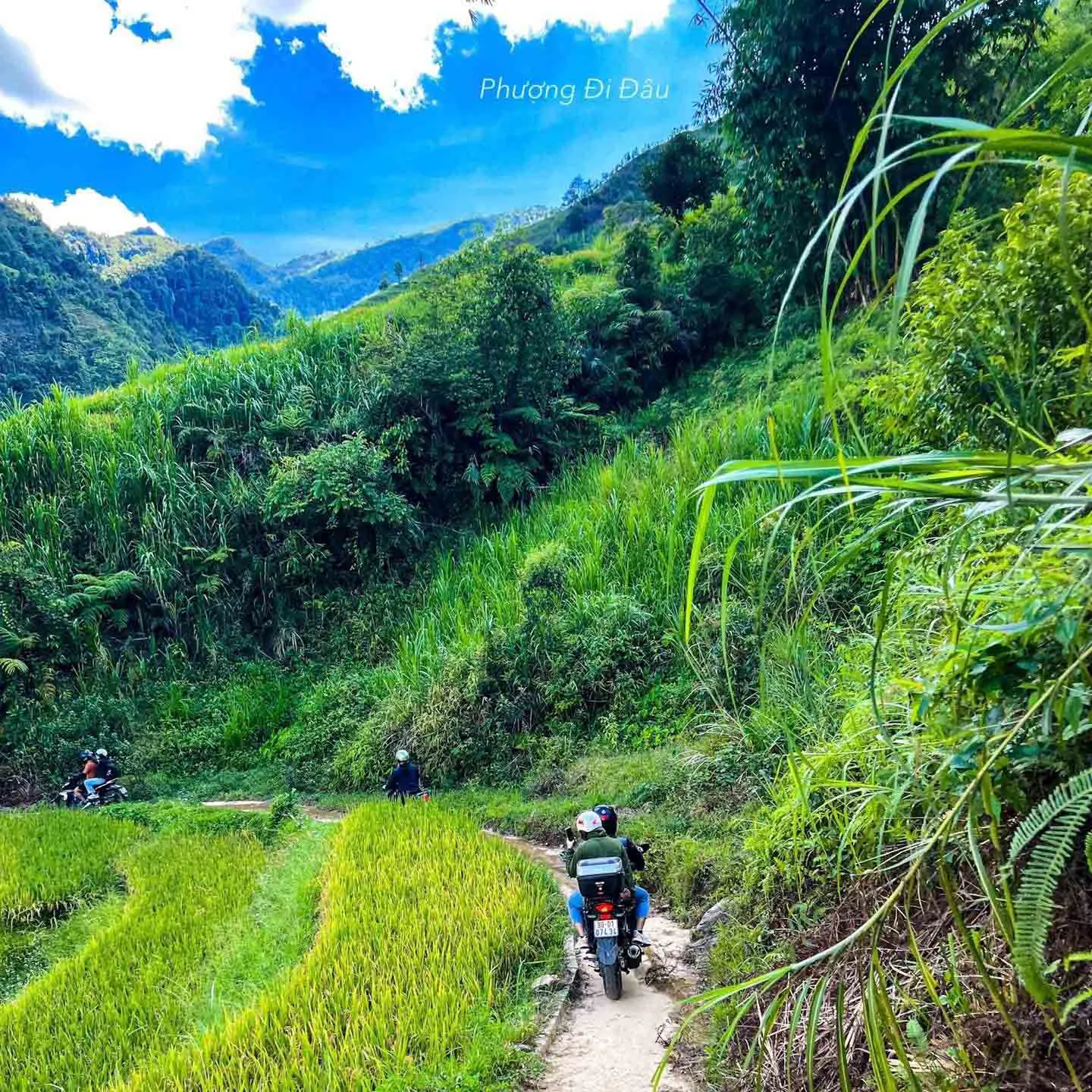 Trekking Rừng rêu