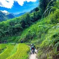Thăm Bản làng