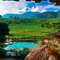 Trekking Rừng rêu